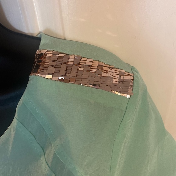 “DANA-MAXX” Silk Agnyss Flores Mint & Sequin Dress - Picture 13 of 16